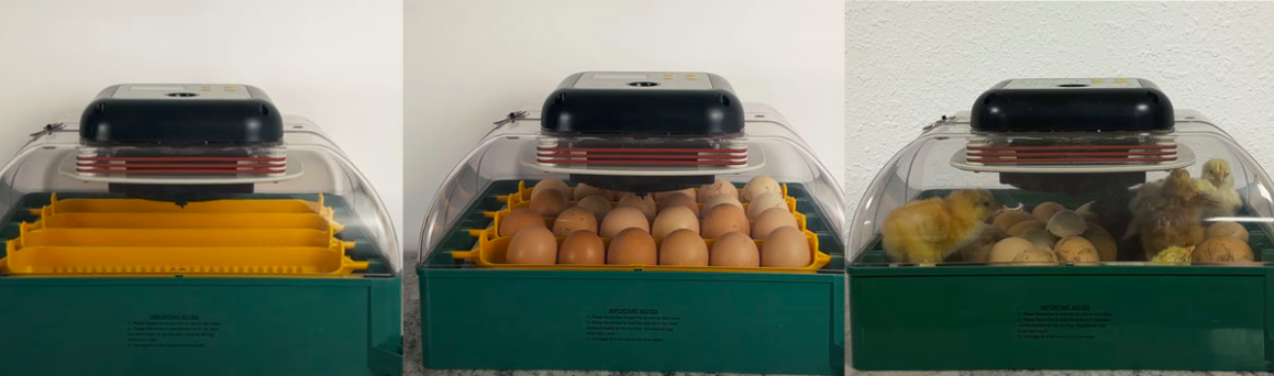 Snímka obrazovky 2026-02-16 o 21.44.22